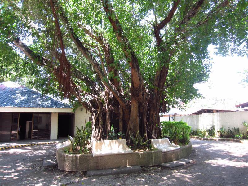 Park Hill Hotel Lapu-Lapu City Zewnętrze zdjęcie